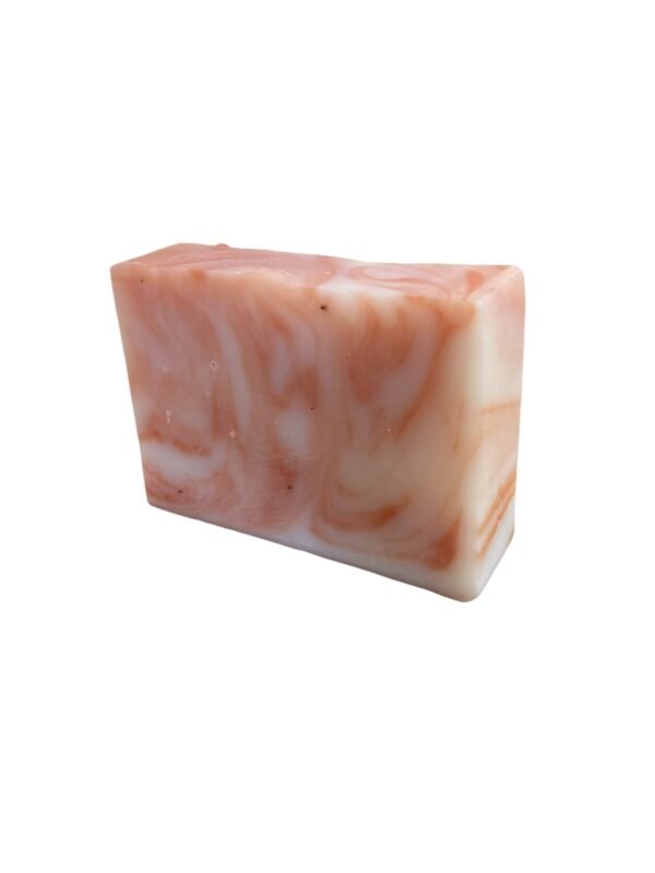Savon pour chiens "Fauster"