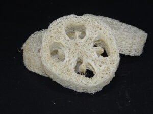 Porte savon Loofah