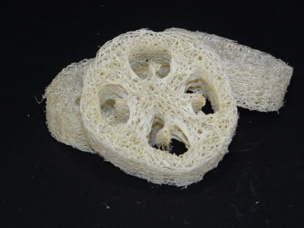 DSC01323 Porte savon Loofah