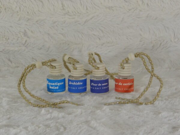 DSC01649 Mini-diffuseurs de parfum ENZO & CALY CREATION